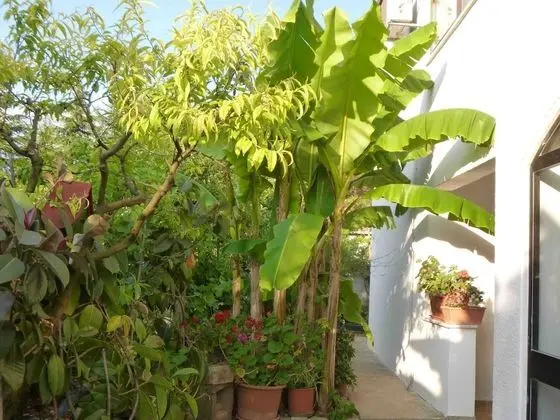 Apart Daire, 1 Yatak Odası, Balkon