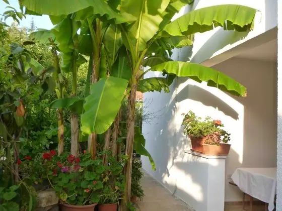 Apart Daire, 1 Yatak Odası, Balkon