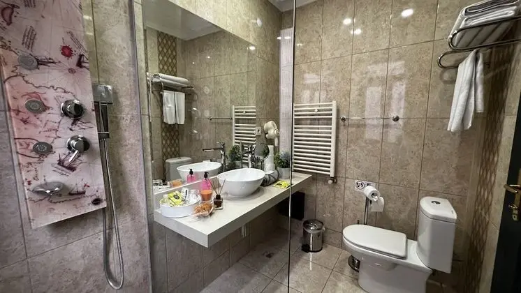 Superior Tek Büyük veya İki Ayrı Yataklı Oda