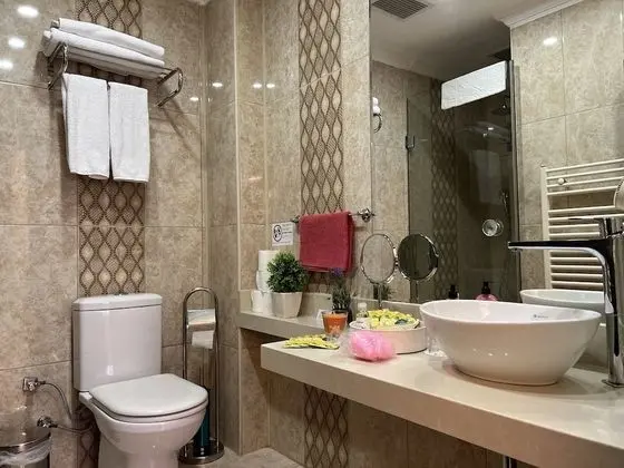 Superior Tek Büyük veya İki Ayrı Yataklı Oda