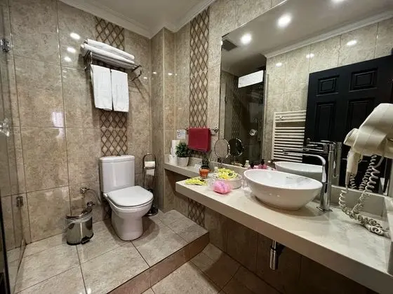 Superior Tek Büyük veya İki Ayrı Yataklı Oda