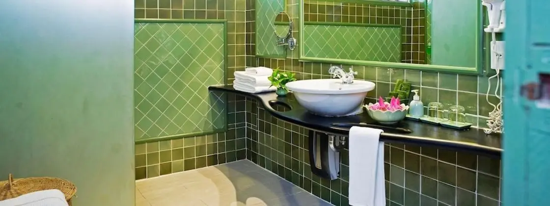 Standard Tek Büyük Yataklı Oda (Petite room)