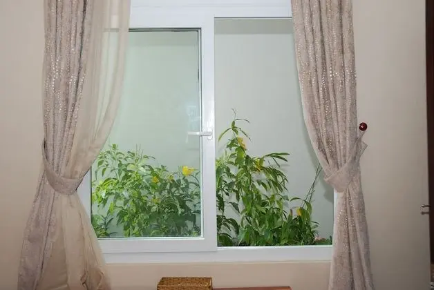 Superior Tek Büyük Yataklı Oda, Şehir Manzaralı