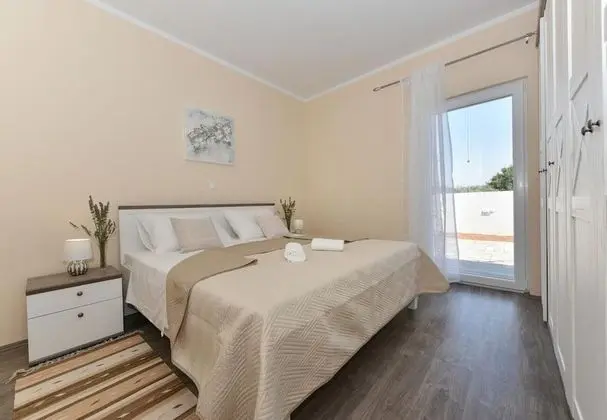 Ev (Ani 1 - with pool - H(6))