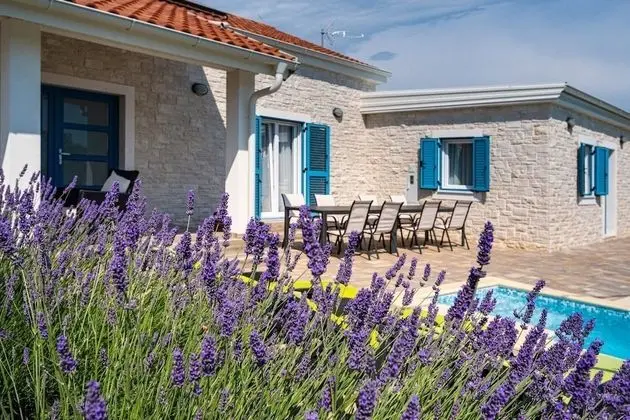 Ev (Ani 1 - with pool - H(6))