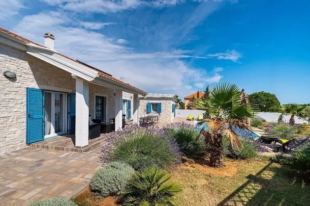 Ev (Ani 1 - with pool - H(6))