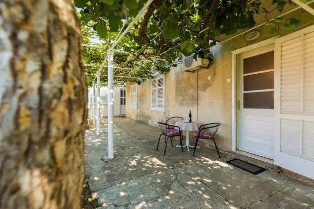 Standard Apart Daire, 1 Yatak Odası, Teras