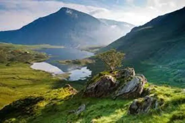 Kır Evi, Birden Çok Yatak