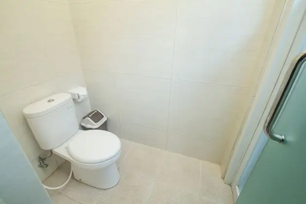 Deluxe Tek Büyük Yataklı Oda, Havuz Kullanımı