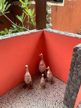 Deluxe Kır Evi, 1 Yatak Odası, Bahçe Manzaralı