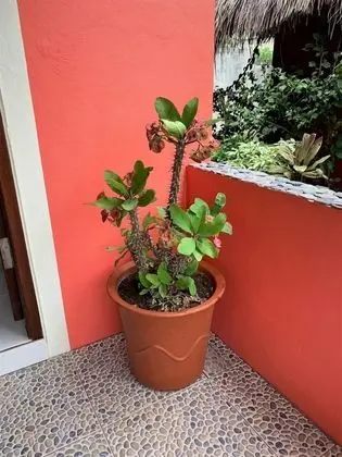 Deluxe Kır Evi, 1 Yatak Odası, Bahçe Manzaralı