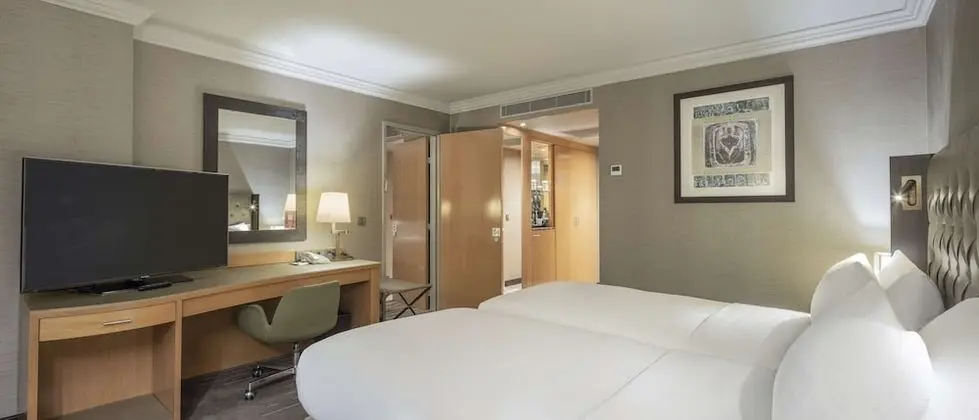 Hilton, Deluxe İki Ayrı Yataklı Oda