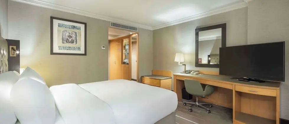 King Accessible Room
