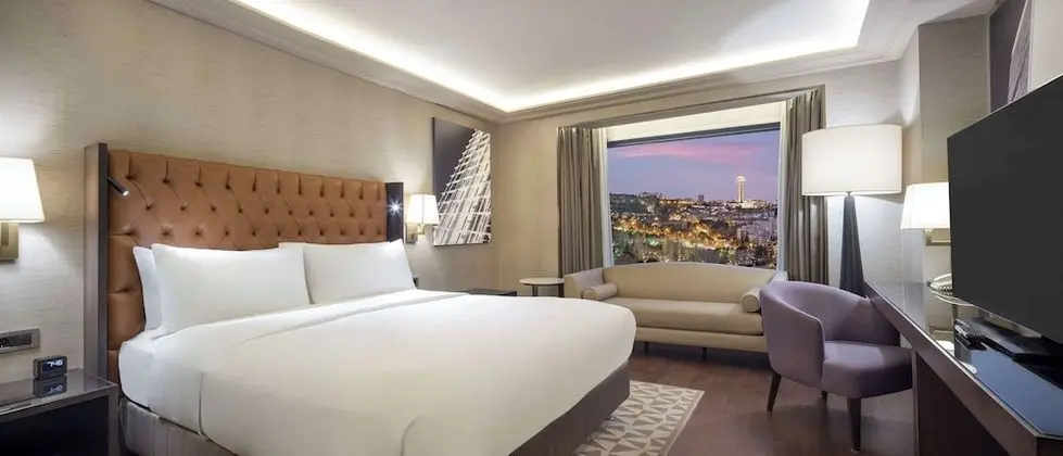 King Accessible Room