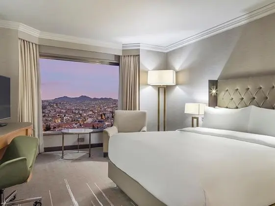 King Accessible Room