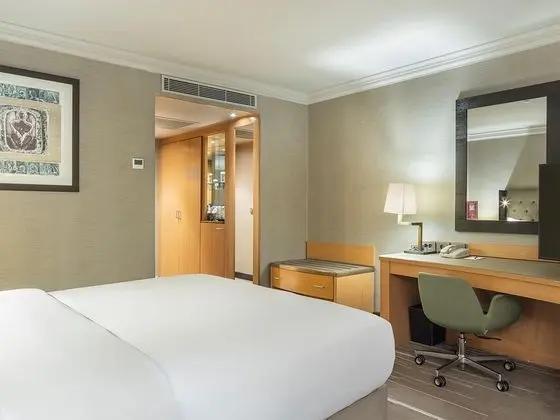 King Accessible Room