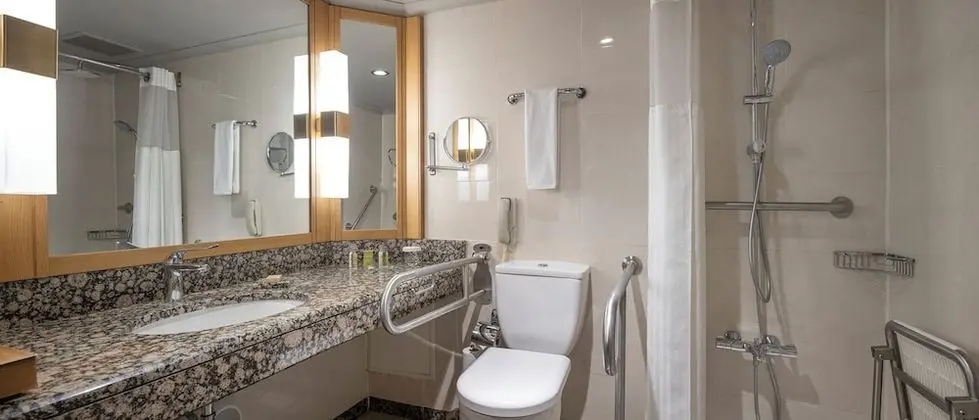 King Accessible Room