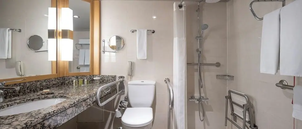 King Accessible Room