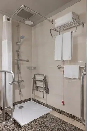 King Accessible Room