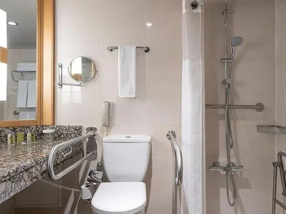 King Accessible Room