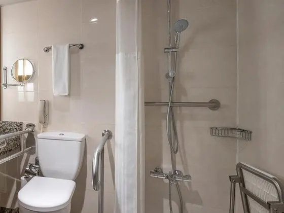 King Accessible Room