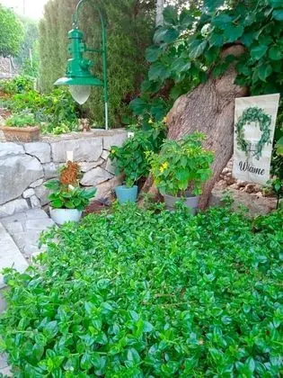 Apart Daire (Anki - 15 m from sea - A3(2+2))