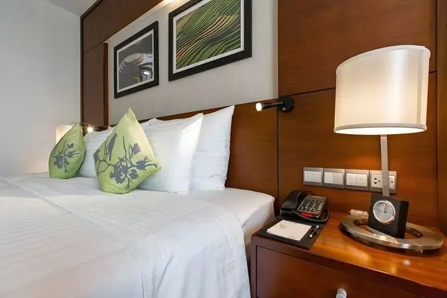 Deluxe Tek Büyük Yataklı Oda, Şehir Manzaralı