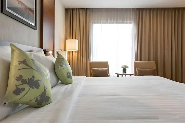Premium Tek Büyük Yataklı Oda, Şehir Manzaralı