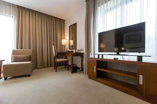Premium Tek Büyük Yataklı Oda, Şehir Manzaralı