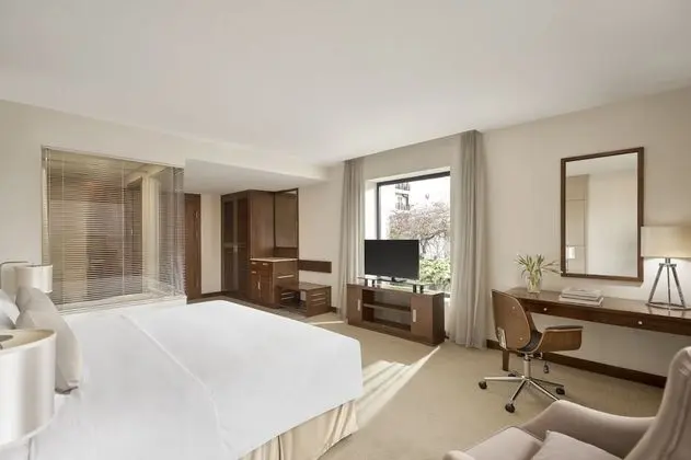 Premium Tek Büyük Yataklı Oda, Şehir Manzaralı