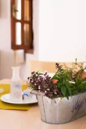 Standard Stüdyo, 2 Tek Kişilik Yatak, Sigara İçilmez