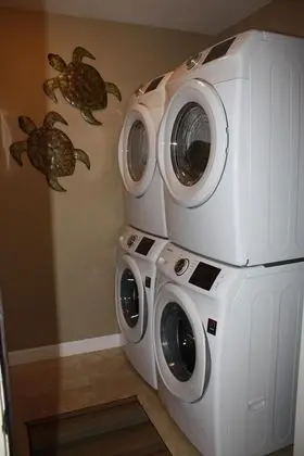 Ev