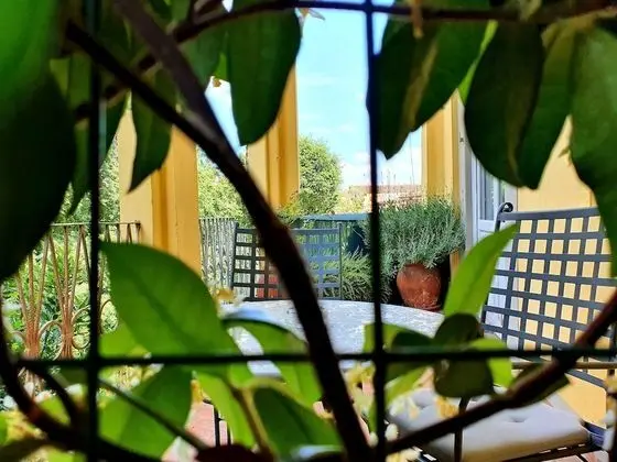 Deluxe Tek Büyük Yataklı Oda, Balkon