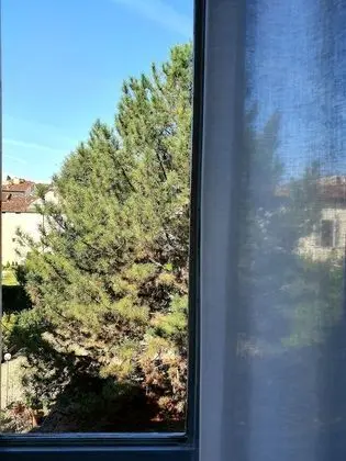 Superior Tek Büyük Yataklı Oda, Bahçe Manzaralı