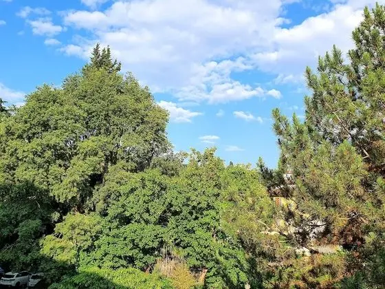 Superior Tek Büyük Yataklı Oda, Bahçe Manzaralı