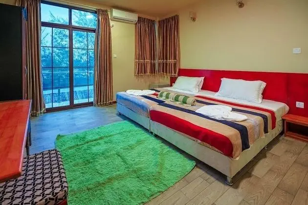 Standard Tek Büyük Yataklı Oda, Balkon, Şehir Manzaralı