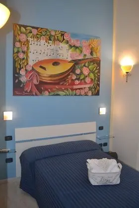 Superior Tek Kişilik Oda (French bed)