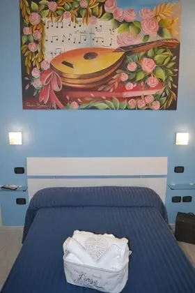 Superior Tek Kişilik Oda (French bed)