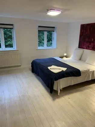 Basic Tek Büyük veya İki Ayrı Yataklı Oda, Ortak Banyo