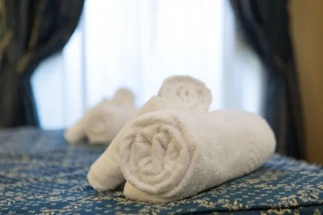 Tek Büyük Yataklı Oda (extra bed - external private bathroom)