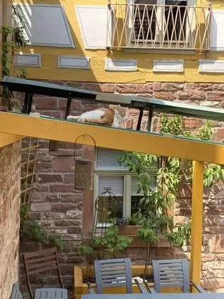 Comfort Apart Daire (Gute Stubb')