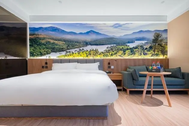 Deluxe Tek Büyük Yataklı Oda, 1 Yatak Odası, Sigara İçilmez, Şehir Manzaralı