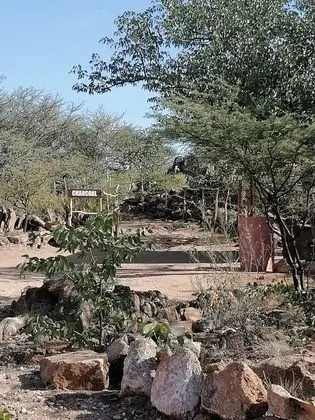 Basic Çadır (Camping Space-No bed or Tent provided)