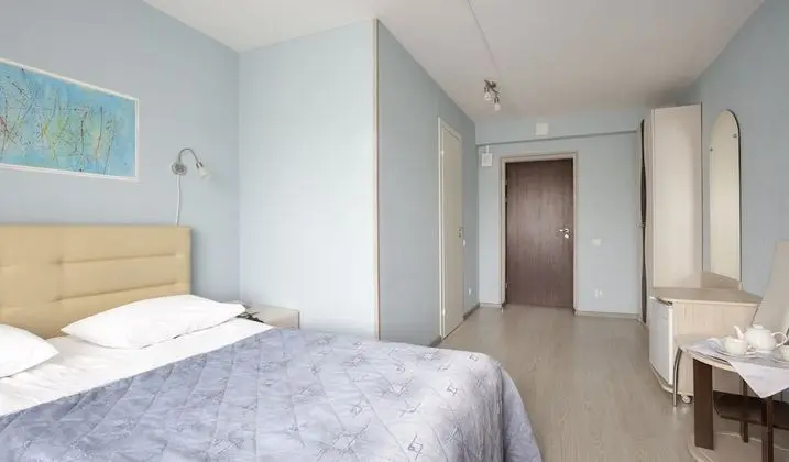 Standard Tek Büyük Yataklı Oda, 1 Çift Kişilik Yatak