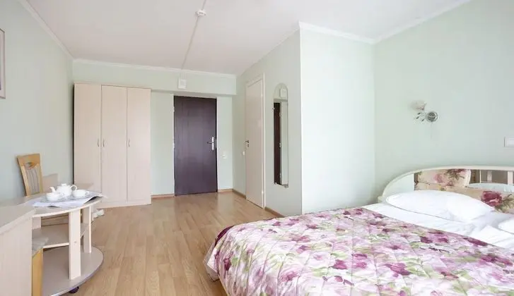 Standard Tek Büyük Yataklı Oda, 1 Çift Kişilik Yatak