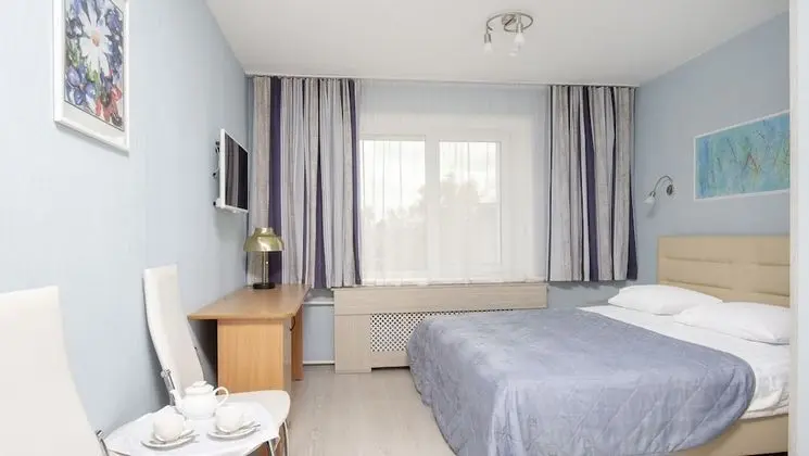 Standard Tek Büyük Yataklı Oda, 1 Çift Kişilik Yatak