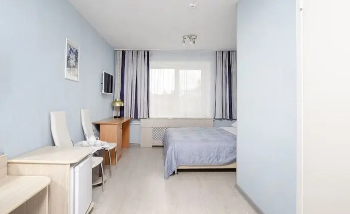 Standard Tek Büyük Yataklı Oda, 1 Çift Kişilik Yatak