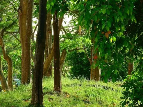 Panoramic Ev, 5 Yatak Odası