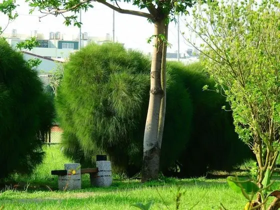 Panoramic Ev, 5 Yatak Odası
