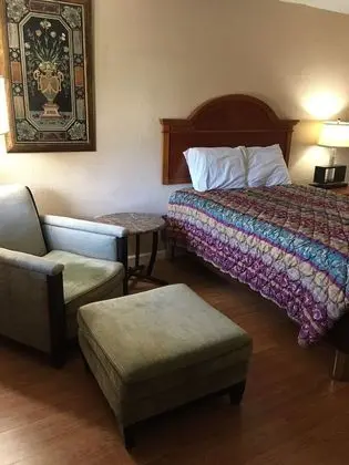 Deluxe Tek Kişilik Oda, 1 Büyük (Queen) Boy Yatak, Sigara İçilmez